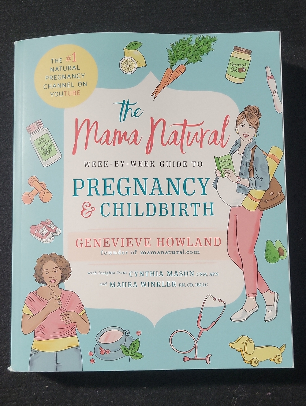 The Mama Natural Pregnancy & Childbirth by Genevieve Howland - Book